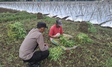 Bhabinkamtibmas-Desa-Sumberejo-Cek-Ketahanan-Pangan-Warga,-dengan-Pemanfaatan-Lahan-Kosong-untuk-Tanaman-Sayur